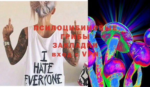 ПСИЛОЦИБИНОВЫЕ ГРИБЫ Елабуга