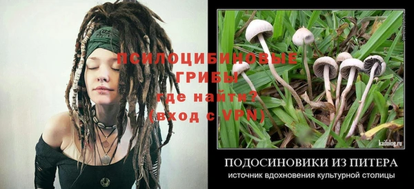ALPHA-PVP Ельня