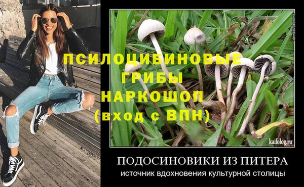 стаф Елизово