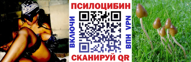 Галлюциногенные грибы мухоморы  Семёнов 